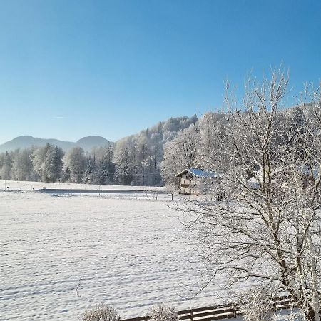 Ferienwohnungen Am Alpenrand سيغزدورف المظهر الخارجي الصورة