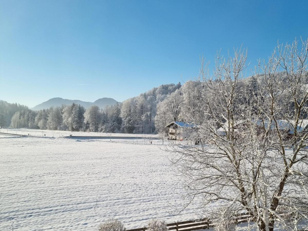 Ferienwohnungen Am Alpenrand سيغزدورف المظهر الخارجي الصورة